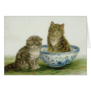 Kitten in a Blue China Bowl