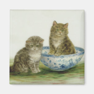 Kitten in a Blue China Bowl Magnet