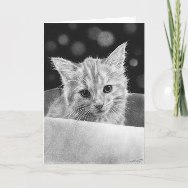 Kitten in a box Greeting Card (Front)