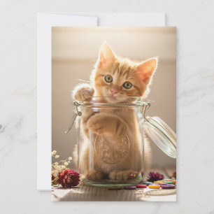 Kitten In A Jar Holiday Card
