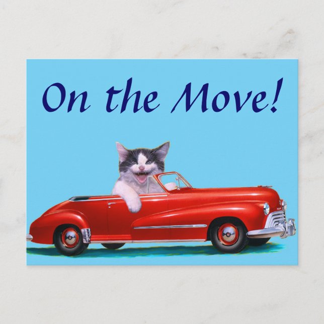 Kitten in a Red Convertible Announcement Postcard (Front)