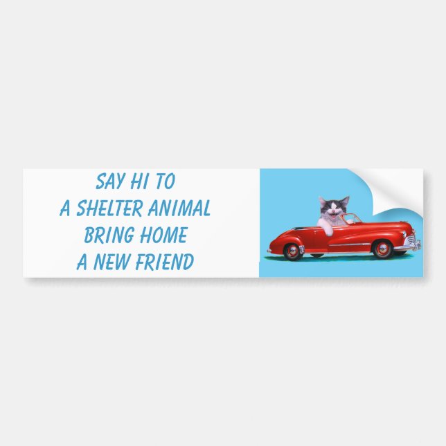 Kitten in a Red Convertible Bumper Sticker (Front)