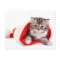 Kitten In A Santa Hat