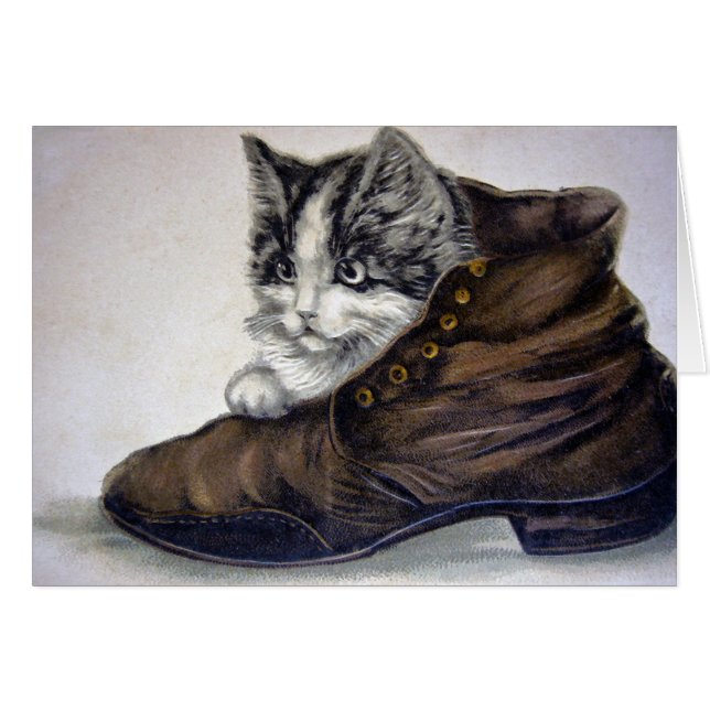 Kitten in a Shoe (Front Horizontal)