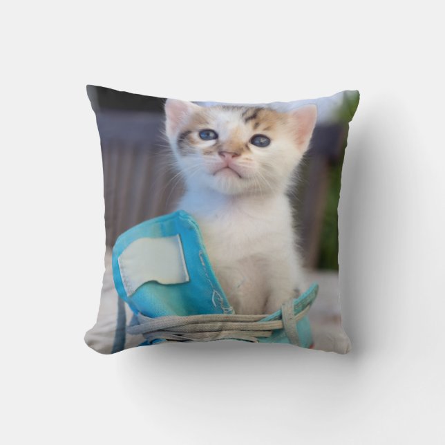 Kitten In A Shoe Cushion (Front)