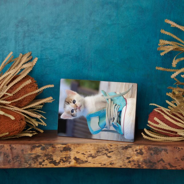Kitten In A Shoe Plaque (Side)