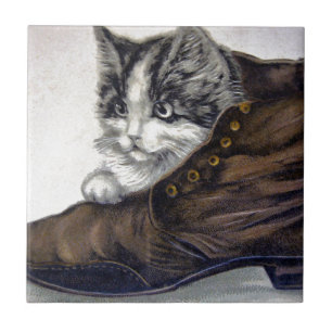 Kitten in a Shoe Tile