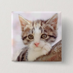 Kitten In A Tree 15 Cm Square Badge
