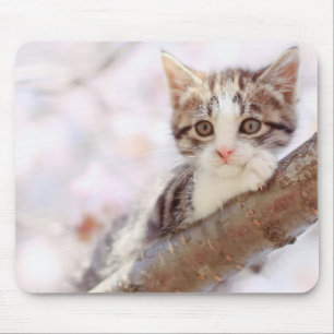 Kitten In A Tree Mouse Pad
