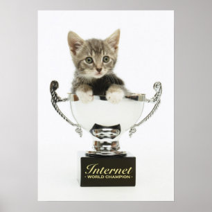 Kitten in a Trophy Poster