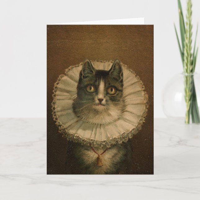 Kitten in an Elizabethan ruff Card (Front)