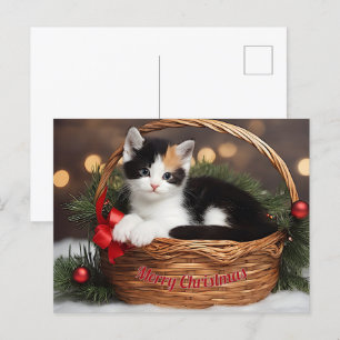 Kitten in Basket Holiday Postcard