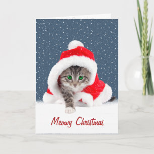 Kitten In Christmas Santa Hat and Snowflakes Card