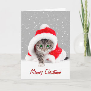 Kitten In Christmas Santa Hat and Snowflakes Card