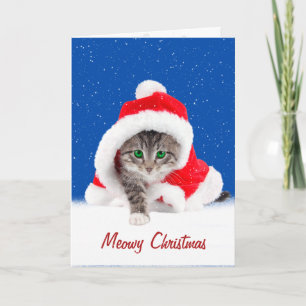 Kitten In Christmas Santa Hat and Snowflakes Card