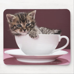 Kitten in cup and saucer mouse pad