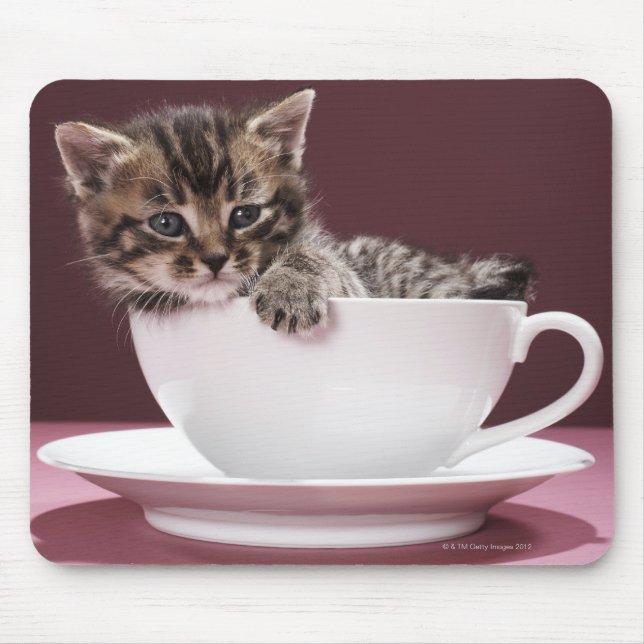 Kitten in cup and saucer mouse pad (Front)
