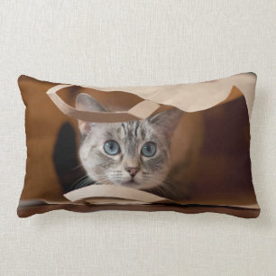 Kitten in Grocery Bag Lumbar Cushion