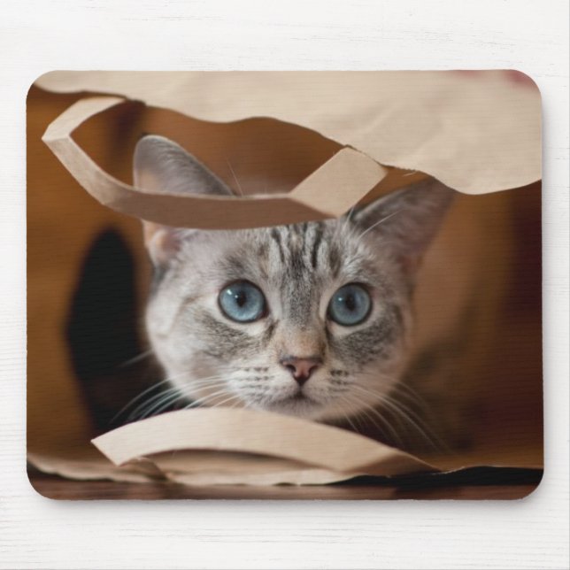 Kitten in Grocery Bag Mouse Pad (Front)
