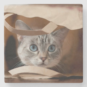 Kitten in Grocery Bag Stone Coaster