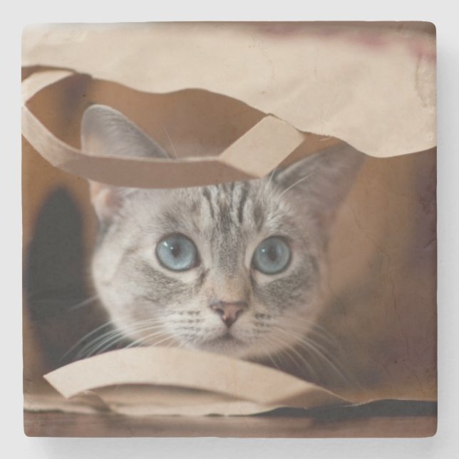 Kitten in Grocery Bag Stone Coaster (Front)
