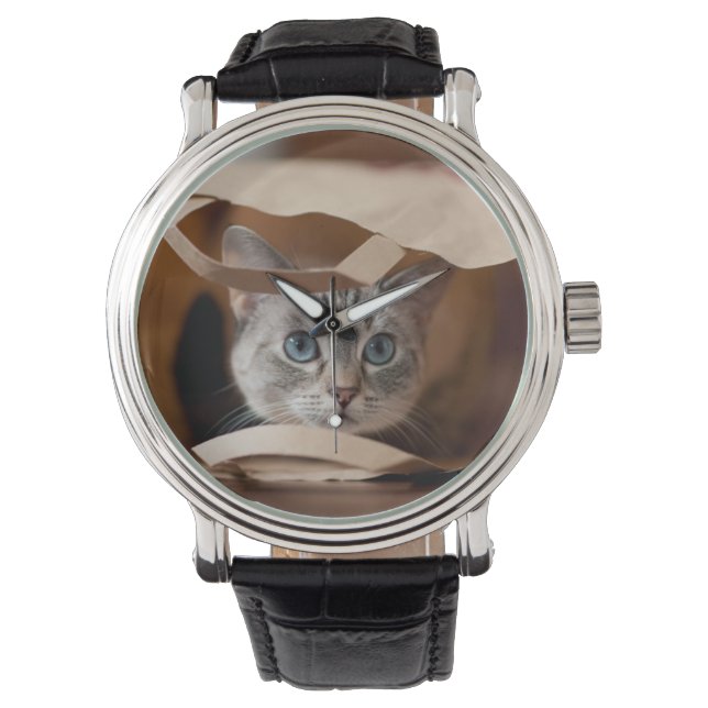 Kitten in Grocery Bag Watch (Front)