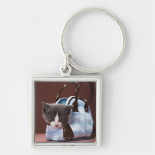 Kitten in handbag key ring