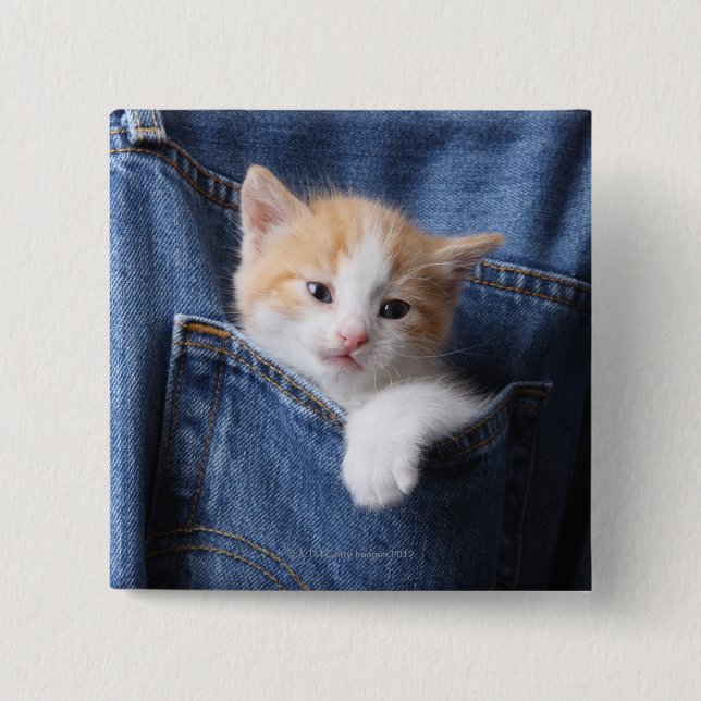 kitten in jeans bag 15 cm square badge (Front)