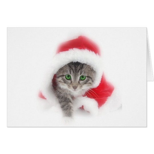 Kitten in Santa hat Card