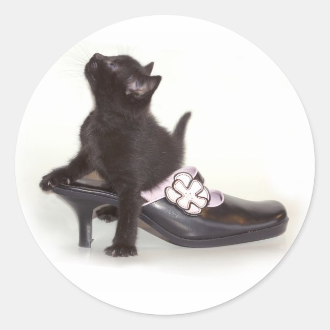 Kitten in Shoe Sticker (Front)