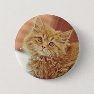 Kitten in Snow 6 Cm Round Badge