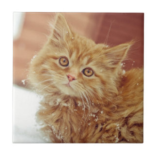 Kitten in Snow Ceramic Tile