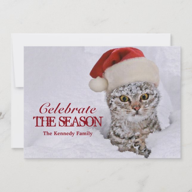 Kitten in snow with santa hat invitation (Front)