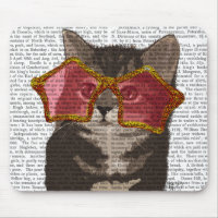 Kitten in Star Sunglasses