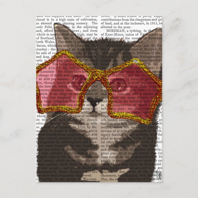 Kitten in Star Sunglasses Postcard (Front)
