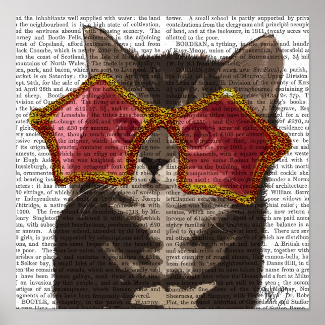 Kitten in Star Sunglasses Poster (Front)
