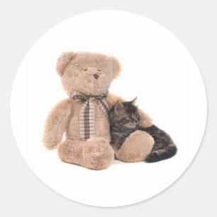 kitten in the arms of a teddy bear classic round sticker