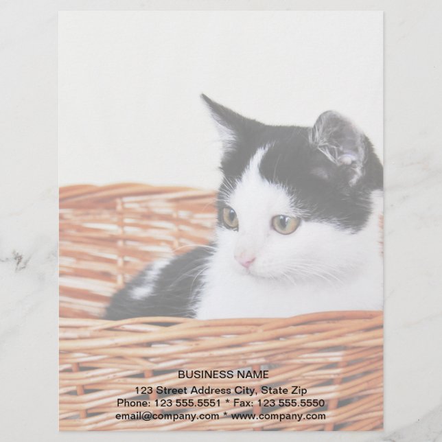 Kitten in the basket customized letterhead (Front)