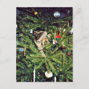 Kitten in the Christmas tree Holiday Postcard
