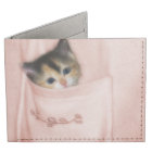 Kitten in the Pocket 2