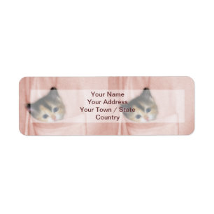 Kitten in the Pocket 2 Return Address Label