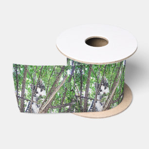 Kitten In Tree Pencil Drawing, Satin Ribbon