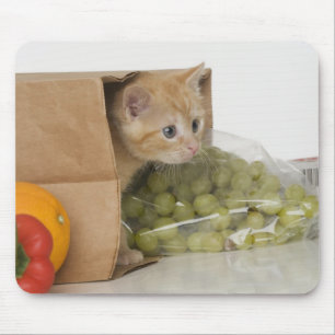 Kitten inside grocery bag mouse pad