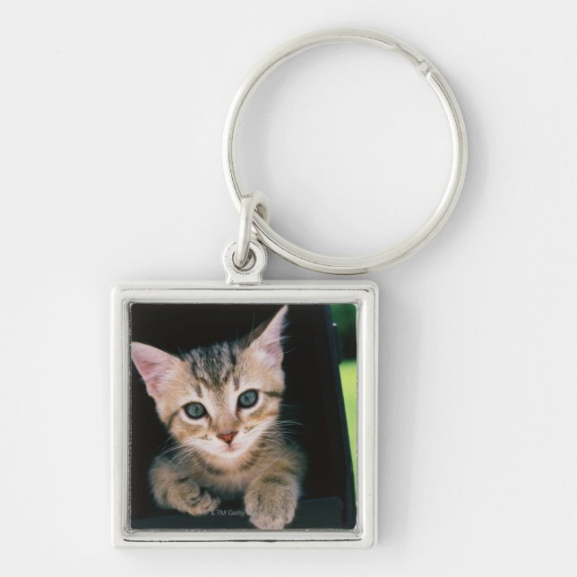 Kitten inside of mailbox key ring (Front)