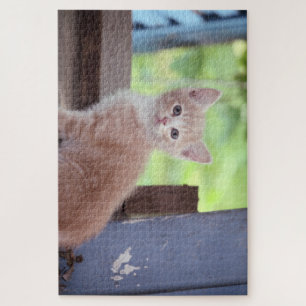Kitten jigsaw puzzle