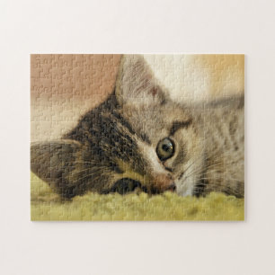 kitten jigsaw puzzle