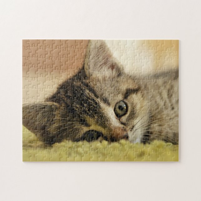 kitten jigsaw puzzle (Horizontal)