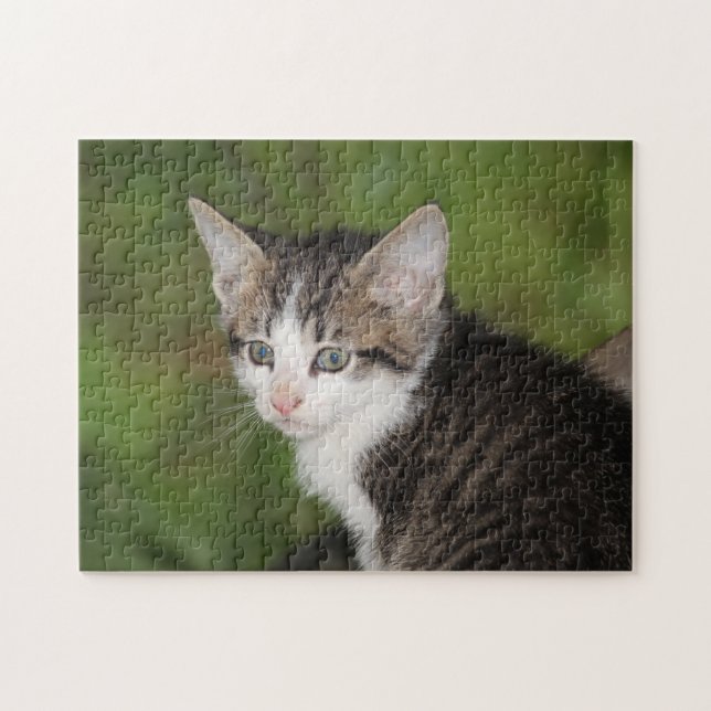 Kitten Jigsaw Puzzle (Horizontal)