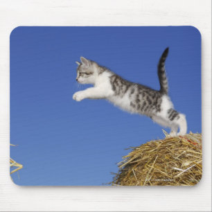 Kitten Jumping 2 Mouse Pad