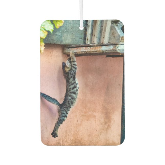 Kitten jumping car air freshener (Front)